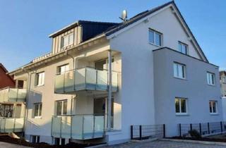 Wohnung mieten in 76461 Muggensturm, Schöne 3-Zimmer-Wohnung mit Südbalkon im Herzen von Muggensturm