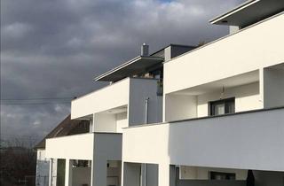 Wohnung mieten in 74592 Kirchberg an der Jagst, Sonnige 3-Zimmer-Wohnung in Kirchberg an der Jagst