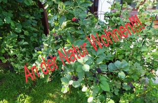 Haus kaufen in 89343 Jettingen-Scheppach, An der Natur Wohnen!!!!!