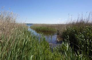 Haus kaufen in Schmiedeweg, 17291 Nordwestuckermark, Sofort beziehbar, Ihr Haus am Unteruckersee nur 1 Std. bis zur Ostsee