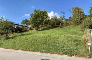 Grundstück zu kaufen in Theodor-Heuss-Str. 14, 75397 Simmozheim, Traumbauplatz mit unverbaubarem Blick über Simmozheim