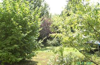 Immobilie mieten in Auf Der Lichtung 19, 82178 Puchheim, Wohnen im Grünen