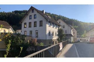 Wohnung mieten in 75305 Neuenbürg, Charmante, sanierte 3-Zimmer-Wohnung mit EBK – hell, ruhig und nah an der Enz, nah am Bahnhof