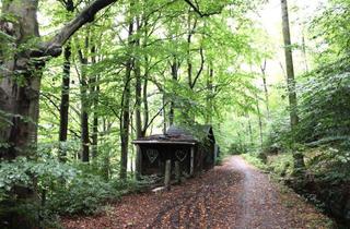Grundstück zu kaufen in Auer Waldstraße / Floßgraben, 08280 Aue, Waldgrundstück mit älterem Mischbewuchs