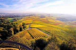 Doppelhaushälfte kaufen in 74211 Leingarten, Leingarten - Doppelhaushälfte - Ideal für Ihre Familie!