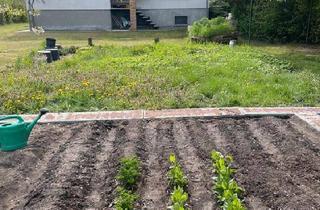 Einfamilienhaus kaufen in 17373 Ueckermünde, Ueckermünde - Einfamilienhaus