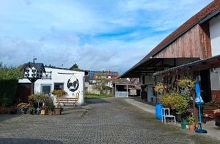 Bauernhaus kaufen in 89257 Illertissen, Illertissen - Bauernhof 1600qm Grund mit Wohnhaus