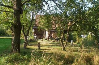 Haus kaufen in 97516 Oberschwarzach, Oberschwarzach - Anwesen in Handthal im Steigerwald - fest vermietet bis 1131