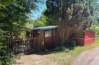 Haus kaufen in 75365 Calw, Calw - Tiny Haus zu verkaufen