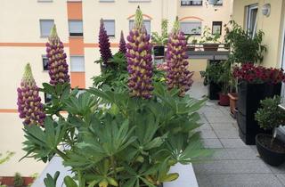 Penthouse kaufen in Birkenwaldstraße 17, 63179 Obertshausen, von Privat: Exklusives Penthouse mit 4 Zimmern und Dachterrasse in Obertshausen / Hausen