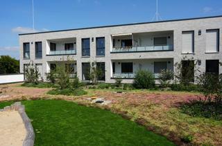 Wohnung mieten in Bergmann-Michel-Str., 33100 Paderborn, Neuwertige 3-Zimmer Wohnung mit Balkon