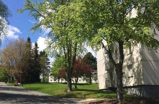 Wohnung mieten in Berliner Straße, 95138 Bad Steben, +++ Möbliertes 2 Zimmer Apartment im schönen Bad Steben +++