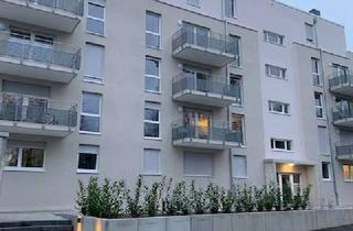 Wohnung mieten in Berlinerstr. 39, 61449 Steinbach, 2 Zimmer-Wohnung in Steinbach/Ts.