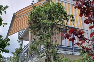 Wohnung mieten in Flachsleite 82a, 97526 Sennfeld, Freundliche, gut ausgestattete 2-Raum-EG-Wohnung mit EBK und Balkon in Sennfeld