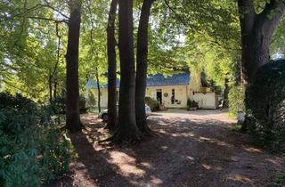 Wohnung mieten in Alte Dorfstrasse, 27404 Gyhum, 72m² Wohnung in idyllisch, ländlich-ruhiger Lage, 1. OG, 27404