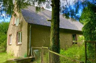 Einfamilienhaus kaufen in 17506 Gribow, Einfamilienhaus auf großem Grundstück - Nähe der Ostsee und Greifswald