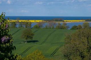 Haus kaufen in 23758 Wangels, Großvolumiges Investoren-/Betreiberobjekt in Ostholstein