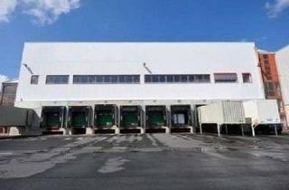 Büro zu mieten in 36289 Friedewald, —— Verfügbar Januar 2026 ++++ Logistik-/Hallenfläche/n – optional Bürofläche zu vermieten +++++