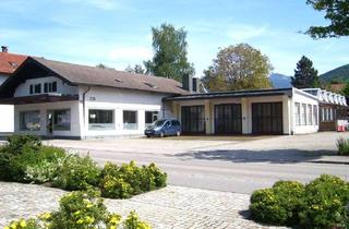 Büro zu mieten in 83112 Frasdorf, Werkstatt/Fertigungsfläche, Büro und Ausstellung im Chiemgau