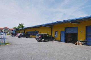 Gewerbeimmobilie kaufen in 02763 Zittau, Leerstehende, vielseitig nutzbare Gewerbehalle