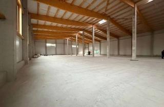 Gewerbeimmobilie mieten in 87437 Innenstadt, LAGERFLÄCHE - NEUBAU - EXKLUSIV - HOCHREGAL - PALETTEN