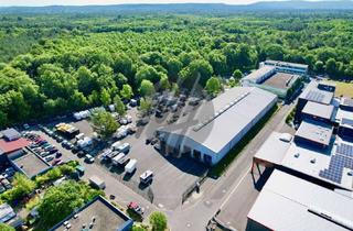 Gewerbeimmobilie kaufen in 63457 Hanau, IM ALLEINAUFTRAG ✓ 24/7 ✓ Befestigtes Grundstück (10.000 m²) mit Lager (2.300 m²) & Büro (200 m²)