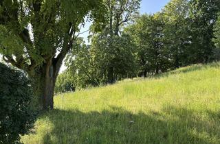 Grundstück zu kaufen in 63571 Gelnhausen, Exklusives Baugrundstück im Park der Weißen Villa - Grundstück Nr. 2 - Gelnhausen