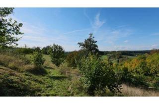 Grundstück zu kaufen in 33142 Büren, Baugrundstück mit Panorama-Aussicht am Ortsrand von Büren / Wewelsburg