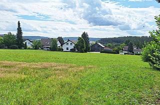 Grundstück zu kaufen in 72178 Waldachtal, *In einer der schönsten Lagen des Nordschwarzwaldes* Großes Baugrundstück in Lützenhardt
