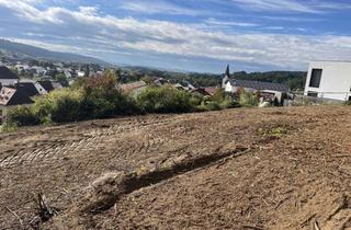 Grundstück zu kaufen in Arberstraße 1A, 93173 Wenzenbach, Rarität mit Stil – Wo Lage, Licht und Aussicht sich vereinen!