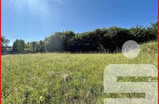 Grundstück zu kaufen in 94116 Hutthurm, Attraktives Baugrundstück mit genehmigten Bauplan für zwei moderne 4-Familienhäuser in 94116 Prag