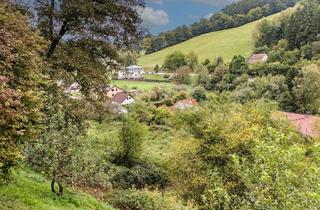 Grundstück zu kaufen in 64743 Beerfelden, Die Natur vor der Haustür - Grundstück in ruhiger Nebenstraße!