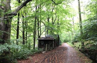 Grundstück zu kaufen in Auer Waldstraße / Floßgraben, 08280 Aue, Waldgrundstück mit älterem Mischbewuchs