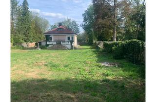 Grundstück zu kaufen in 82166 Gräfelfing, Schönes Baugrundstück mit Altbestand