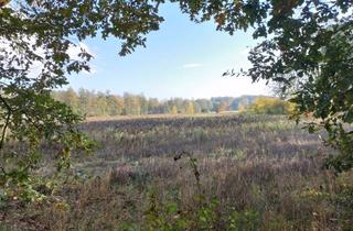 Grundstück zu kaufen in Zur Heide, 48429 Rheine, Baugrundstücke in Rheine-Eschendorf – viel Platz für Ihre Wohnträume