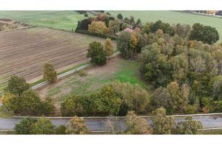 Immobilie kaufen in Neu Eckeler Straße 25, 21224 Rosengarten, ***ROSENGARTEN-NEU ECKEL***GRUNDSTÜCK MIT WEIDE UND MISCHWALD ZU VERKAUFEN***