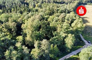 Gewerbeimmobilie kaufen in 90518 Altdorf, Waldgrundstück bei Altdorf-Ziegelhütte