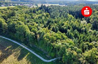 Gewerbeimmobilie kaufen in 90518 Altdorf, Waldgrundstück bei Altdorf-Ziegelhütte
