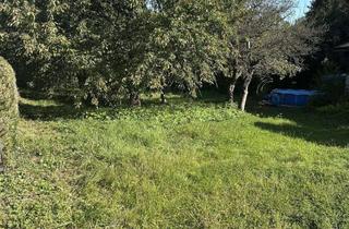 Gewerbeimmobilie kaufen in 75248 Ölbronn-Dürrn, Gartenparadies in Ölbronn-Dürrn – 428 m² Grundstück in ruhiger Ortsrandlage