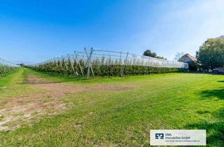 Gewerbeimmobilie kaufen in 33154 Salzkotten, Zusammenhängende Ackerfläche