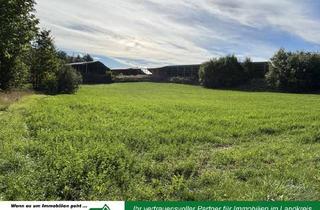 Gewerbeimmobilie kaufen in 95691 Hohenberg, Großzügiges Grundstück in ruhiger Ortsrandlage