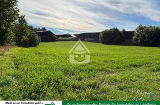 Gewerbeimmobilie kaufen in 95691 Hohenberg, Großzügiges Grundstück in ruhiger Ortsrandlage