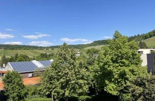 Penthouse kaufen in 74074 Heilbronner Kernstadt, Exklusives Penthouse mit ELW in Bestlage - 3 Dachterrassen und traumhafter Ausblick in Heilbronn Ost