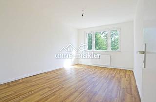 Wohnung mieten in 19412 Kuhlen, Gustävel bei Schwerin - Sanierte helle 4 Zimmerwohnung ab sofort zu vermieten