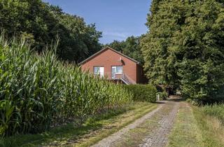 Haus kaufen in 49762 Lathen, Massiv gebautes Wohnhaus mit Nebengebäuden und angrenzendem Ackerland in Alleinlage insg. 16.763 m²