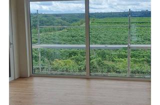 Haus mieten in 74348 Lauffen, Neues exklusives Einfamilienhaus mit 6,5 Zimmern in Lauffen am Neckar