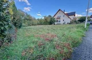 Grundstück zu kaufen in 63755 Alzenau, Exklusiver Bauplatz in Alzenau-Wasslos – Traumlage am Feldrand