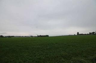 Grundstück zu kaufen in 85604 Zorneding, Zorneding-Pöring: 899 m² Baugrund - Eckgrundstück