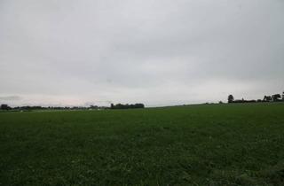 Immobilie kaufen in 85604 Zorneding, Zorneding-Pöring: 899 m² Baugrund - Eckgrundstück