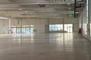 Geschäftslokal mieten in 95100 Selb, Attraktive, barrierefreie Verkaufs-/Ladenfläche in Selb (Baumarkt mit Gartencenter bereits vorhanden)